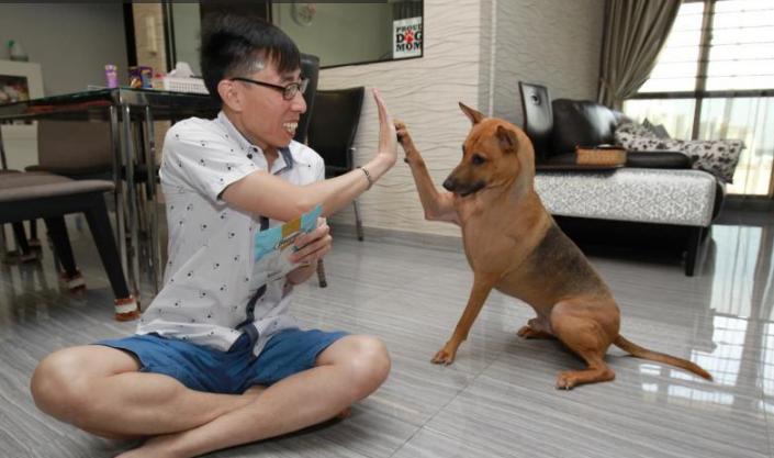 教育培训机构取名大全