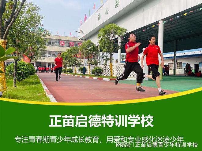 青少年教育管教学校，塑造未来的关键力量