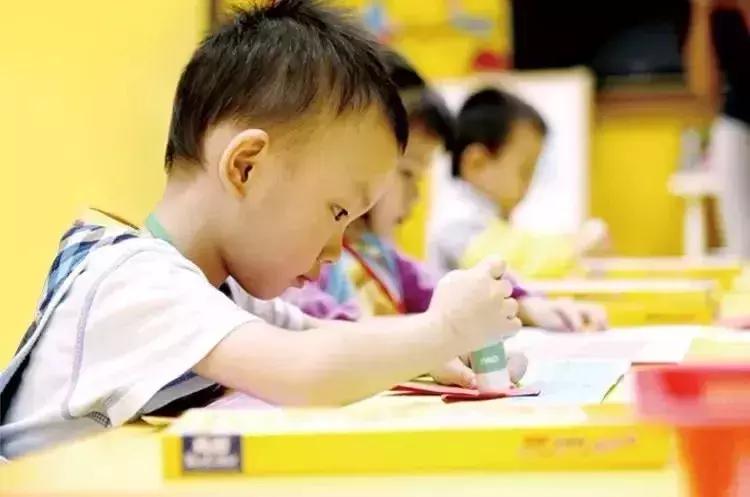 深圳考公培训机构排名及其影响力探讨