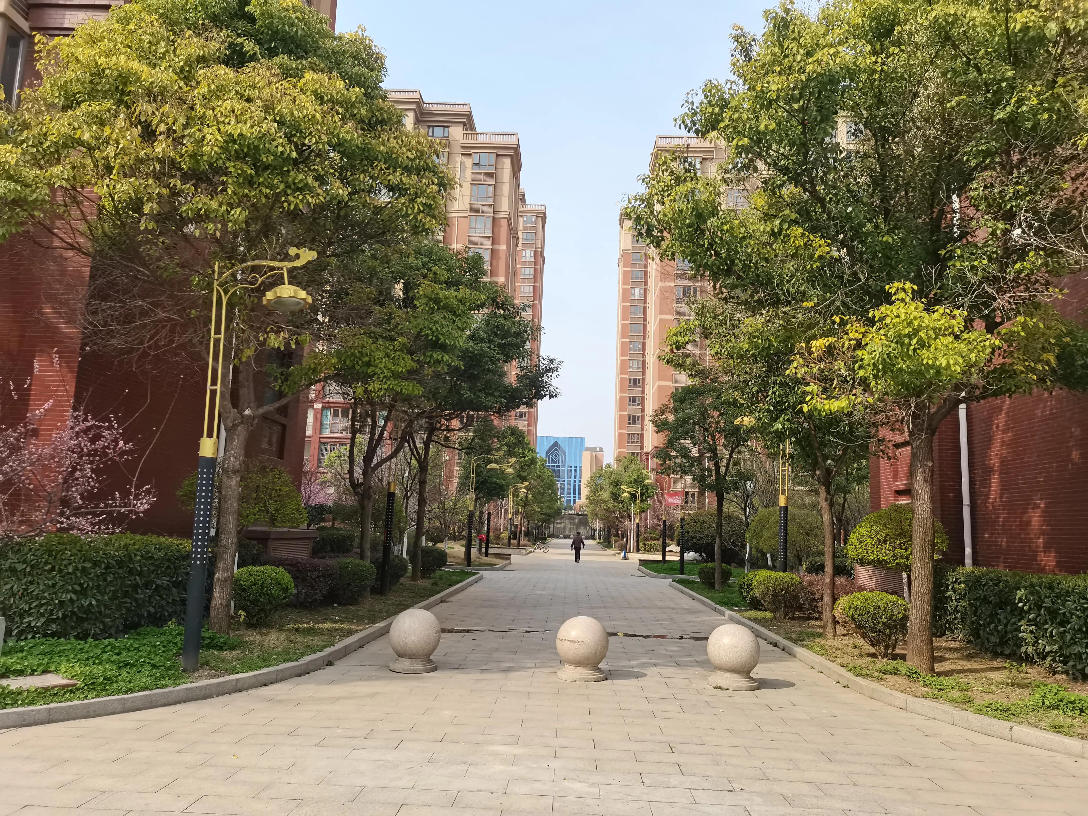 枣庄市颐嘉园户型图大全，探索现代居住空间的多样性与舒适度
