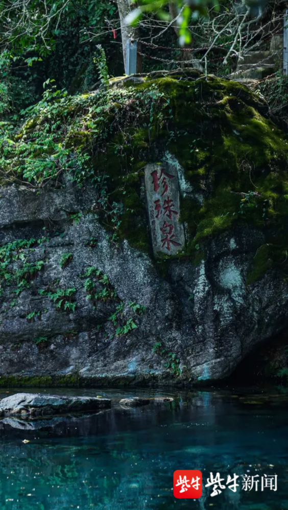 珍珠泉广告牌子词设计，唤醒自然之美，引领探索之旅