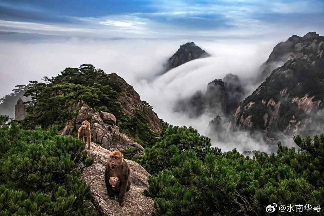 黄山，人间仙境，邀您共赏