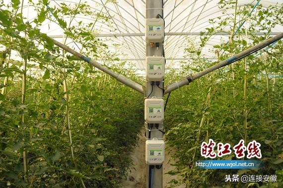 农业植保补贴，助力农业现代化，促进乡村振兴