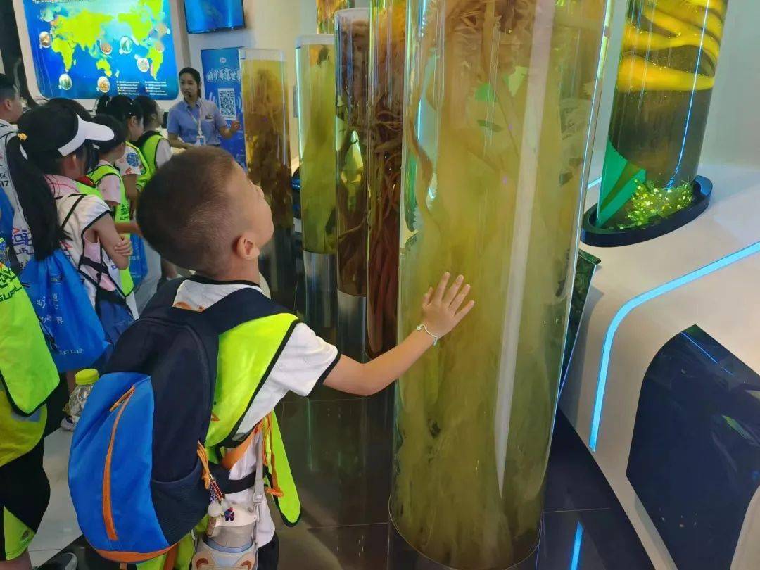 海藻科学活动，探索海洋生命的奥秘与潜力