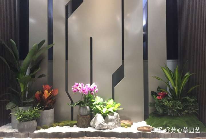 成都租赁室内植物，绿意盎然的生活美学