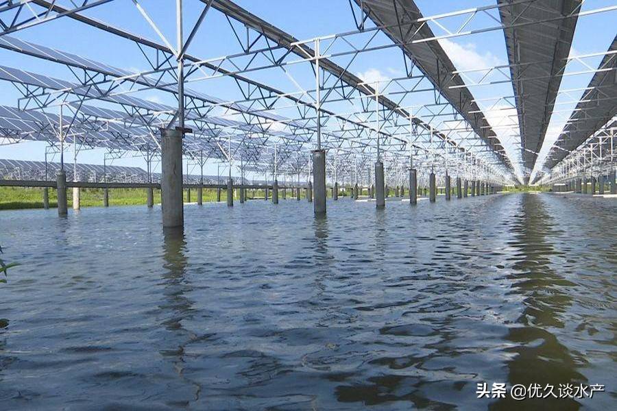 科学水产，引领水产养殖走向可持续繁荣的未来