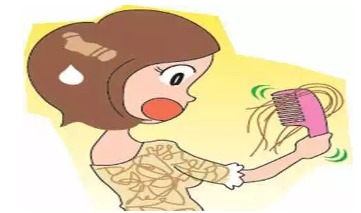 吃瓜 第156页