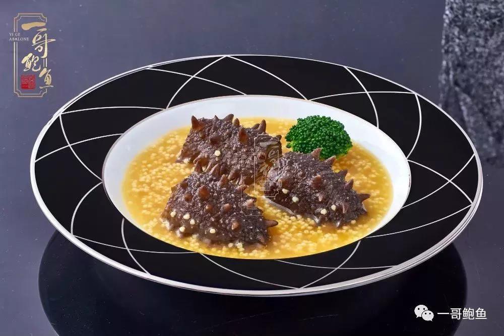 海参圈夏季养殖技术与管理