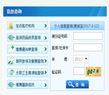 社保查询个人账户余额，便捷操作与权益保障