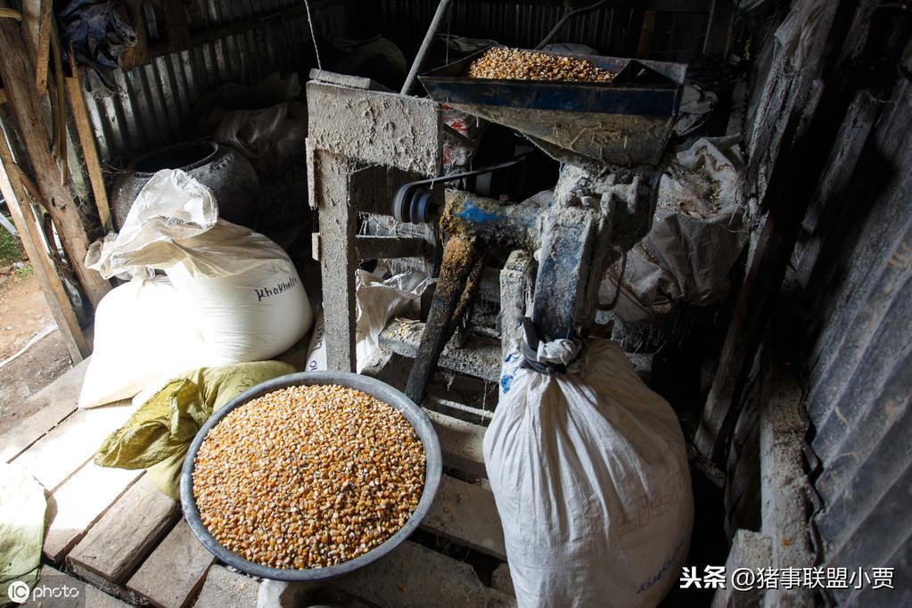 中国规模化养猪场数量的增长及其影响