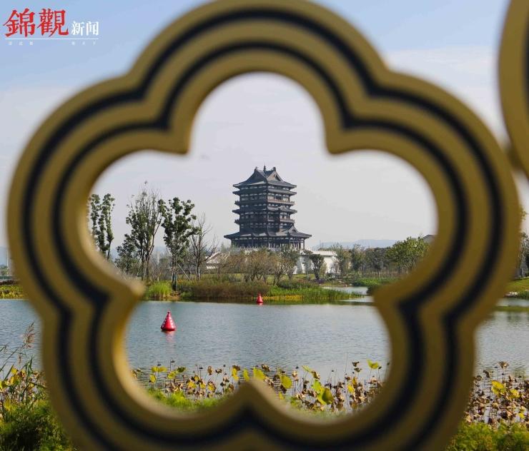 深圳大运游泳馆培训，探索游泳运动的魅力与专业培训的重要性