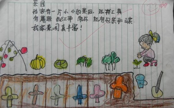 菜园小诗