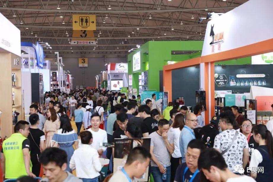 宠物博览会的精彩世界