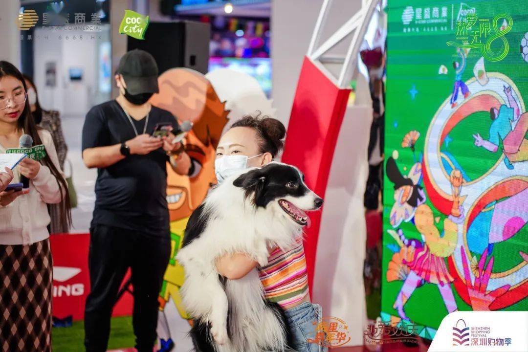 星海宠物展，探索宠物世界的无限魅力