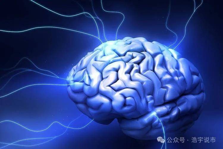 神经调控技术，重塑医学领域的未来之光