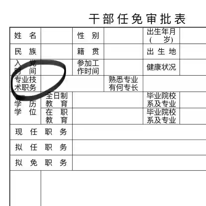 关于专业技术职务填写的详细指南