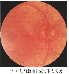 新闻 第137页