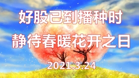 每日一签免费，探索幸运与心灵的邂逅