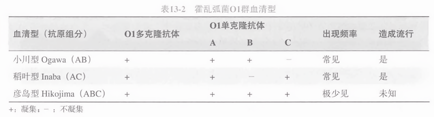 霍乱弧菌诊断血清，现代医疗中的关键角色