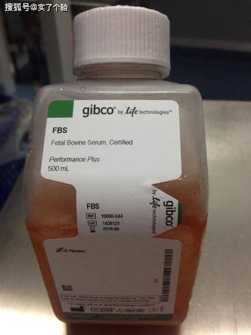 Gibco小牛血清，在生命科学领域中的关键角色