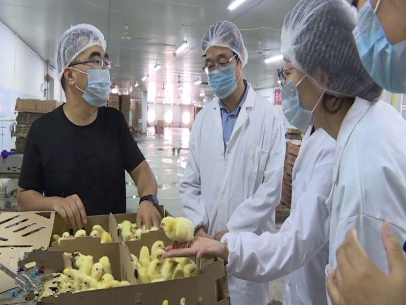 山东大地牧业，揭开骗子公司真面目