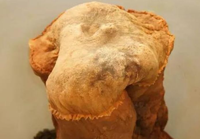 太岁是什么东西，神秘的自然现象解读