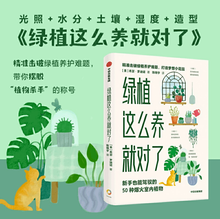 简单植物名片制作，一种直观、有趣的植物展示方式