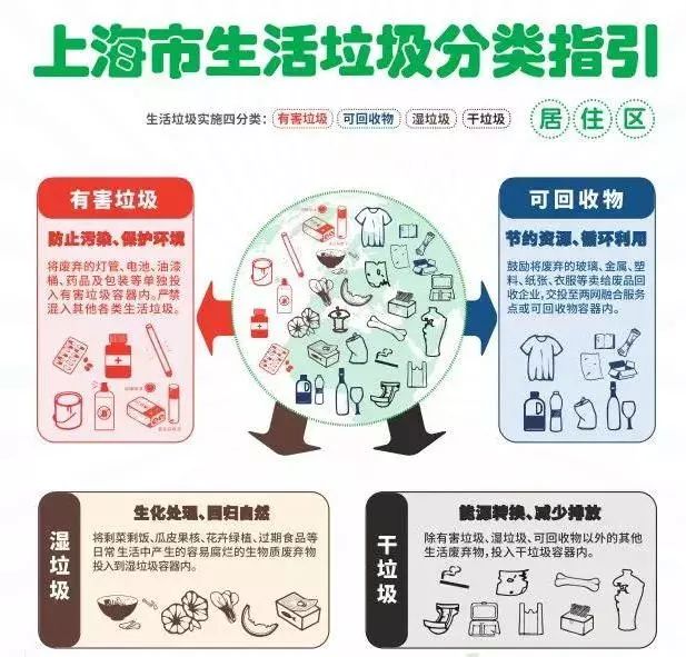 刺黄莲回收，药用植物资源的可持续利用与产业链重塑