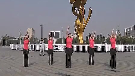 莱洲第五套活力健身操，引领新时代的健身潮流