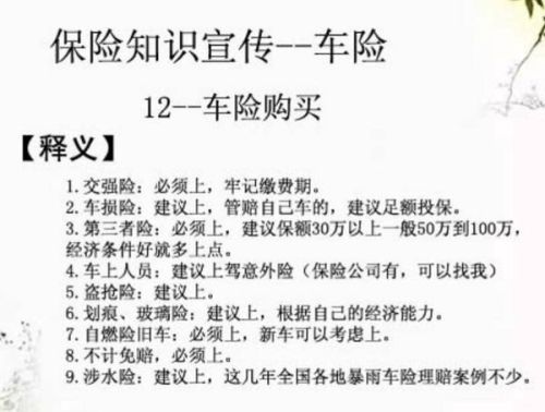保险提前几个月续保，明智之举与细节解析