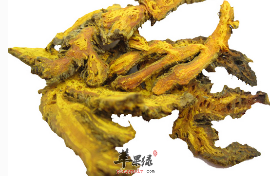 炒黄莲的药用价值与应用，治疗多种疾病的良方