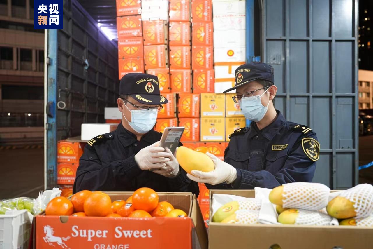 海关水果，监管与贸易的桥梁