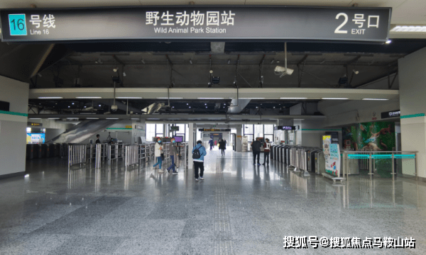 寿司销量，探究其背后的成功因素与市场潜力