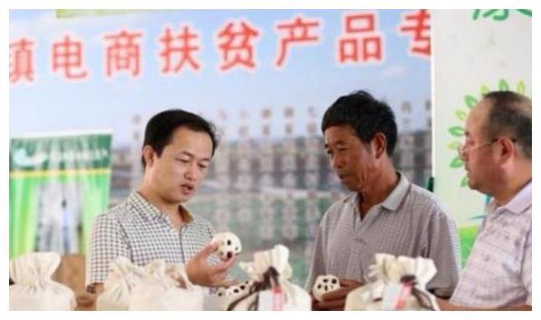 适合农村的可持续发展策略与机遇