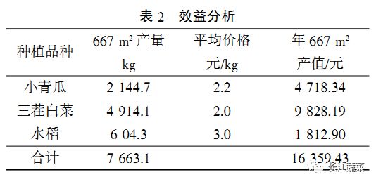 农村养什么赚钱，多元化养殖模式与经济效益分析