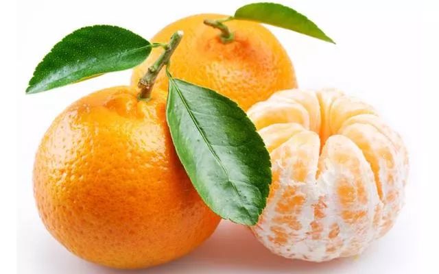 香蕉、橘子、花肥，园艺中的美妙组合