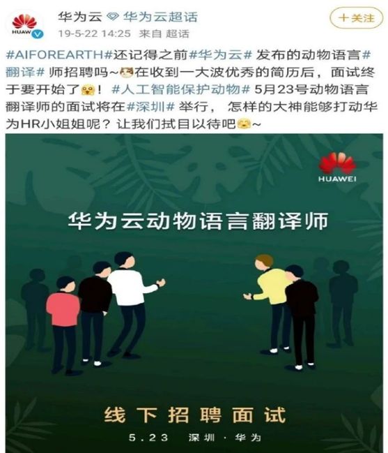 错误翻译，语言沟通的陷阱与挑战