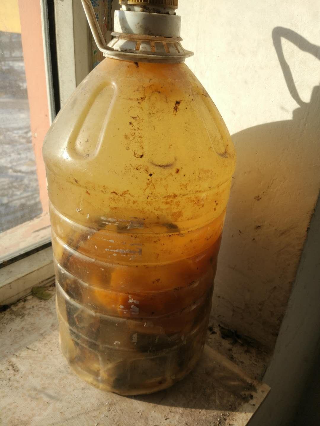 豆渣制作花肥，环保又高效的园艺良方