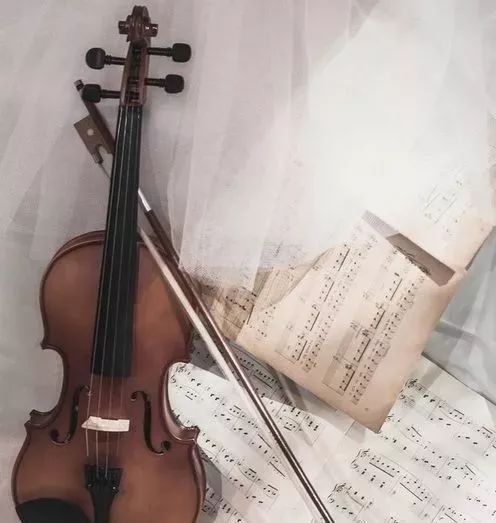 低音大提琴与贝斯的共鸣，深入探索两种乐器的独特魅力
