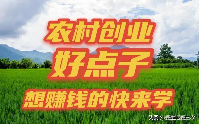农村开店赚钱的新机遇与挑战