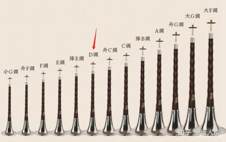 低音是什么调——音乐深度探索