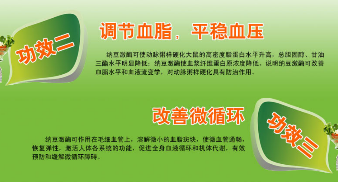 食品企业口号，塑造品牌力量，传递健康承诺