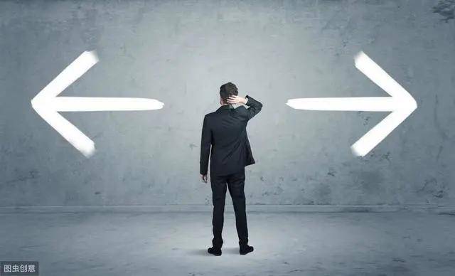 错误的选择，其影响、后果及启示