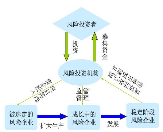 风投有哪几种形式