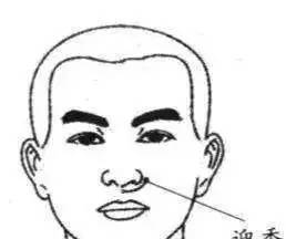 鼻子山根，探寻人体奥秘与审美变迁