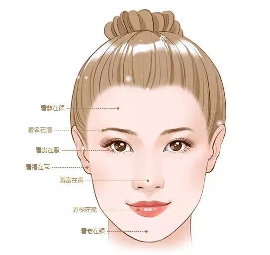 鼻子面相图解，解读面部特征与命运关系
