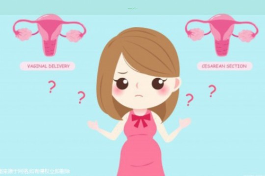 孕妇的幸福，孕育生命的喜悦与爱的力量
