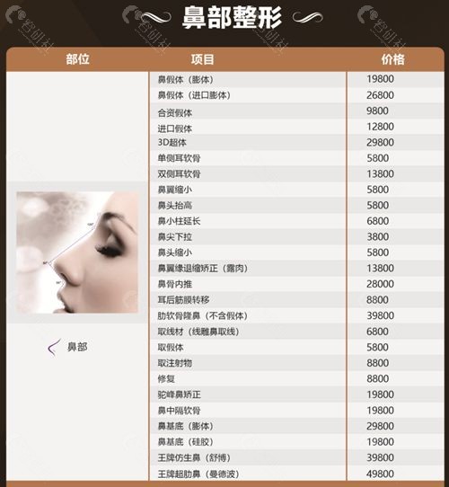 整容鼻子要多少钱——全面解析鼻部整形费用