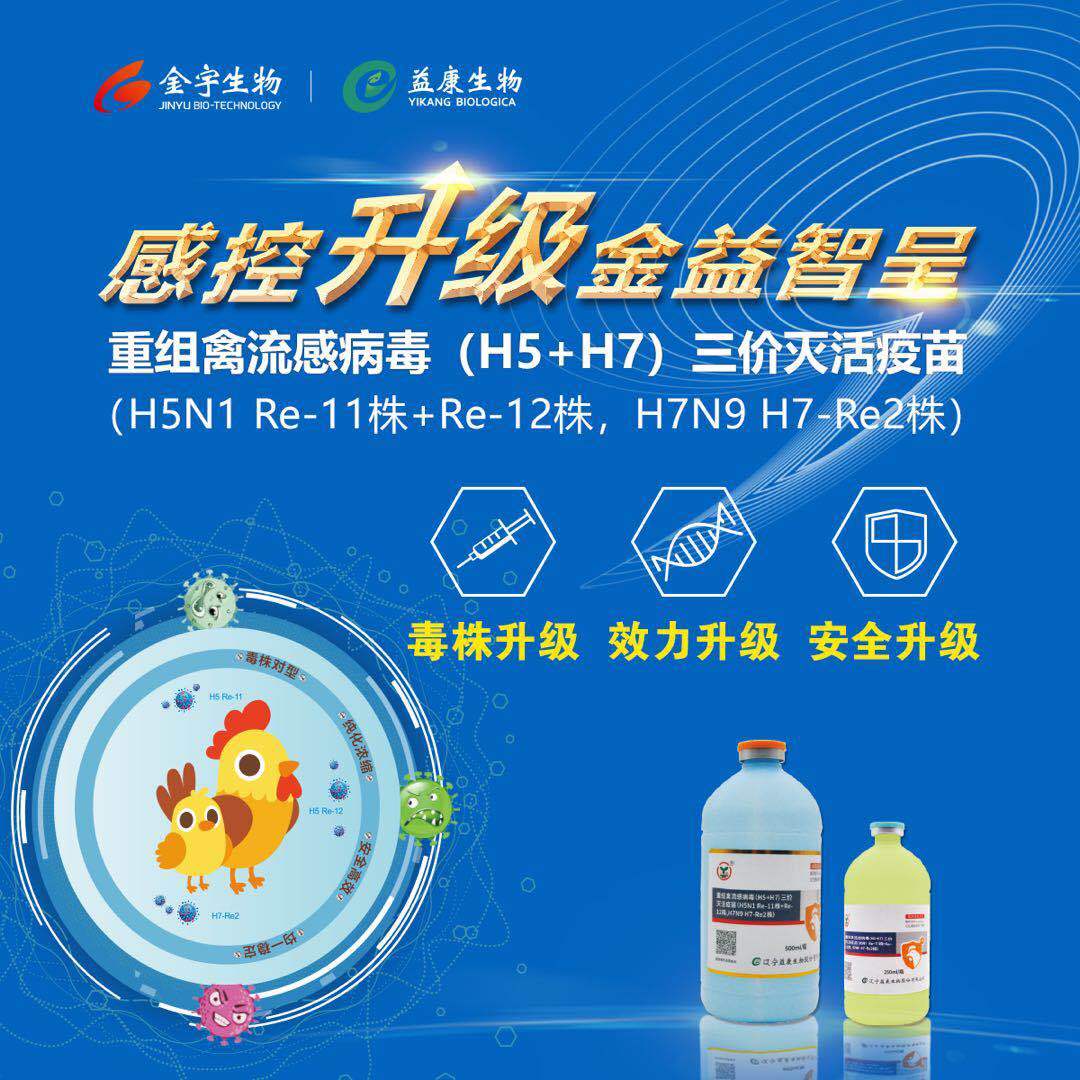鸡禽流感疫苗种类及其应用