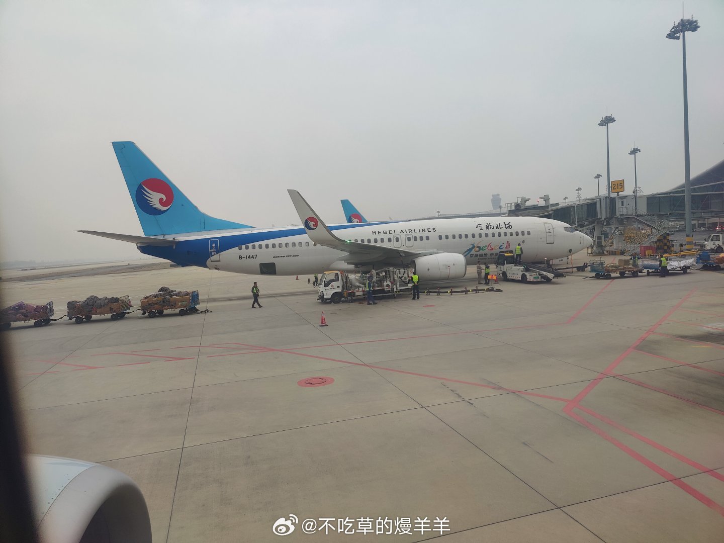 石家庄坐飞机去青岛，一次难忘的旅程